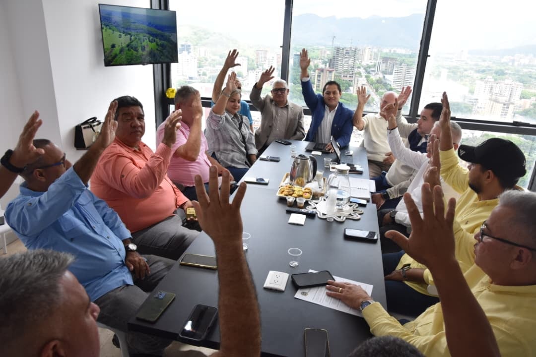 Votacion a mano alzada: los asistentes aprueban la reactivacion del consejo.